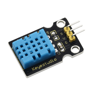 Temperature & Humidity Sensor